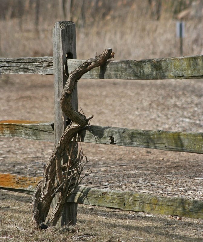 4541 Twisted Fence Photos By Design